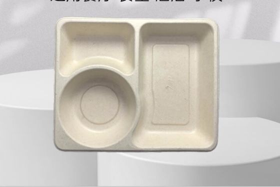 3Grid डिस्पोजेबल लंच बॉक्स, Takeaway Biodegradable पैकेजिंग बॉक्स