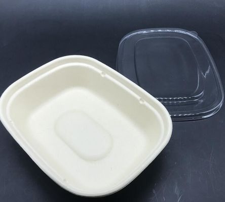 पारदर्शी ढक्कन के साथ नमकीन खाद्य कंटेनर के लिए लोकप्रिय जैव आयत यू आकार गन्ना टेबलवेयर