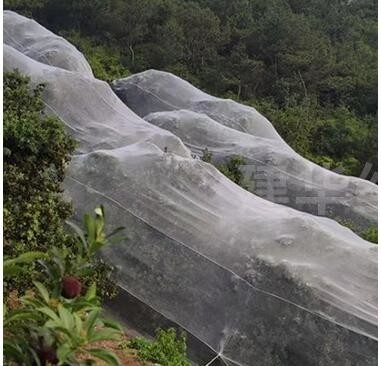 40 50 60 मेष 125 ग्राम कृषि ग्रीनहाउस कीटनाशक निवारक जाल स्वीकार्य मुद्रण के साथ