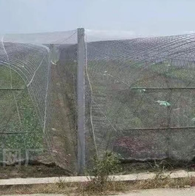 40 50 60 मेष 125 ग्राम कृषि ग्रीनहाउस कीटनाशक निवारक जाल स्वीकार्य मुद्रण के साथ